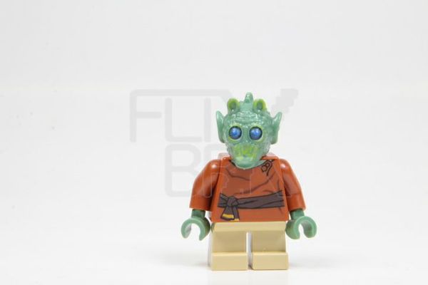 LEGO Star Wars Wald minifigure 